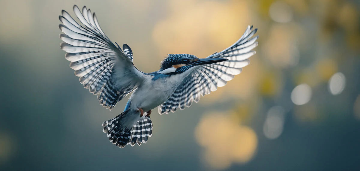 Kingfisher in Flight Mural Wallpaper — Soft Focus Wildlife Mural Wallpaper - room preview 02