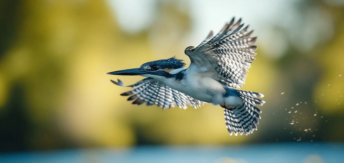 Kingfisher in Flight Mural Wallpaper — Nature Inspired Decor Mural Wallpaper - room preview 02