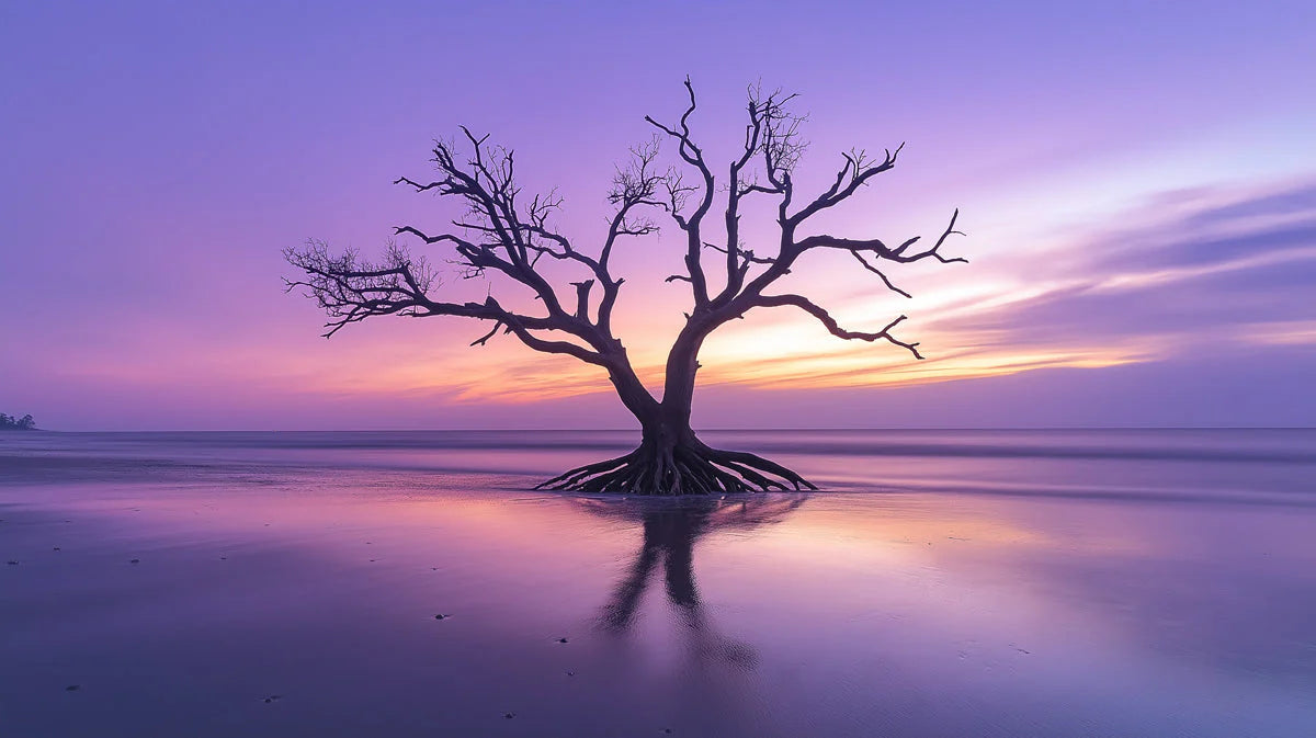 Lone Driftwood Tree Mural Wallpaper — Ethereal Sunset Horizon Mural Wallpaper - room preview 02