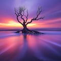 Coastal Sunset Driftwood Mural Wallpaper — Vivid Horizon Design Mural Wallpaper - room preview 02