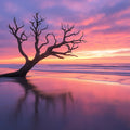 Coastal Sunset Driftwood Mural Wallpaper — Moody Twilight Horizon Mural Wallpaper - room preview 02