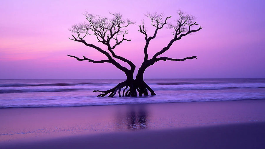 Papier peint mural Arbre Coucher de soleil côtier — Papier peint mural Horizon violet onirique printable artwork