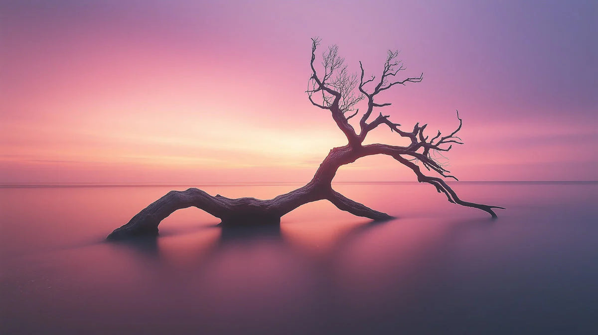 Driftwood Sunset Mural Wallpaper — Minimalist Nature Design Mural Wallpaper - room preview 02