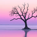 Lone Silhouette Tree Mural Wallpaper — Ethereal Misty Horizon Mural Wallpaper - room preview 02