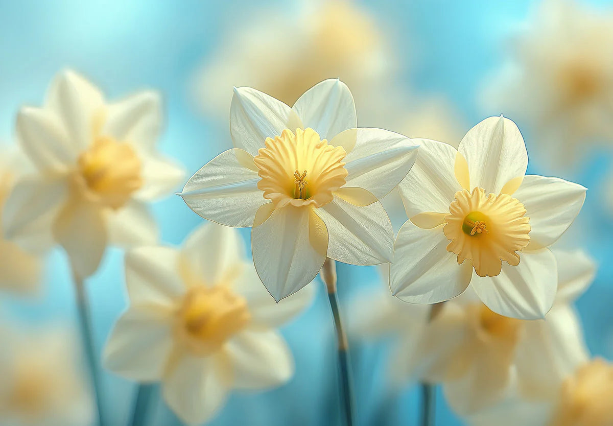 Spring Daffodil Floral Mural Wallpaper — Soft Botanical Art Mural Wallpaper - room preview 02