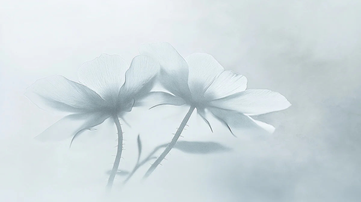 Ethereal Ghost Flower Mural Wallpaper — Soft Focus Floral Mural Wallpaper - room preview 02