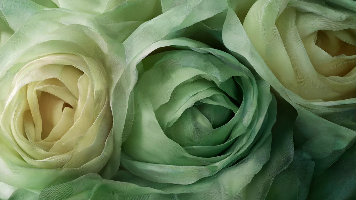 Ethereal Green Rose Macro Mural Wallpaper — Soft Botanical Floral Mural Wallpaper - room preview 02