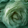Macro Mint Rose Mural Wallpaper — Soft Botanical Wall Art Mural Wallpaper - room preview 02