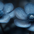 Dew-Kissed Anemone Mural Wallpaper — Moody Botanical Blue Mural Wallpaper - room preview 02