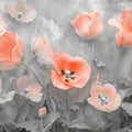 Coral Poppy Floral Mural Wallpaper — Soft Artistic Design Mural Wallpaper - room preview 02