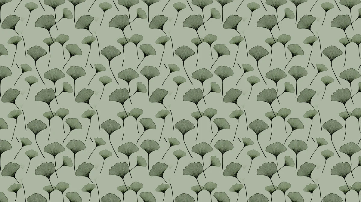 Ginkgo Leaf Mural Wallpaper — Botanical Minimalist Sage Design Mural Wallpaper - room preview 02