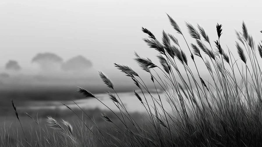 Papier peint mural Champ de roseaux baigné de brume – Papier peint mural Paysage monochrome printable artwork