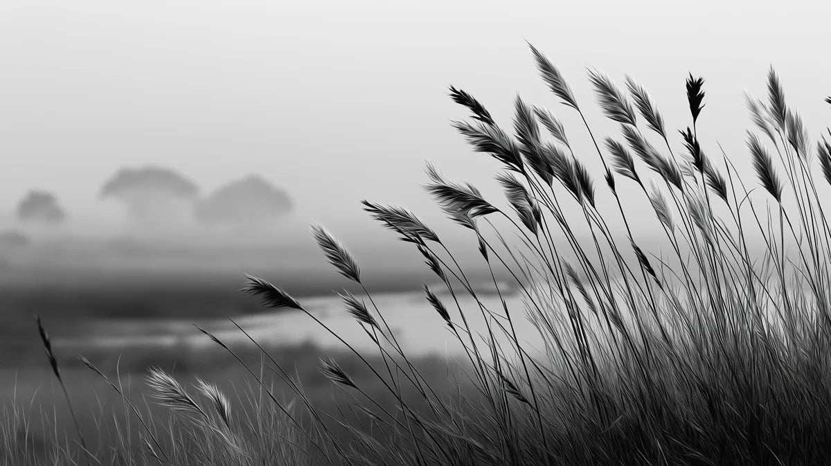 Mist-Covered Reed Field Mural Wallpaper — Monochrome Landscape Mural Wallpaper - room preview 02