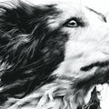 Windblown Canine Portrait Mural Wallpaper — Monochrome Sketch Art Mural Wallpaper - room preview 02