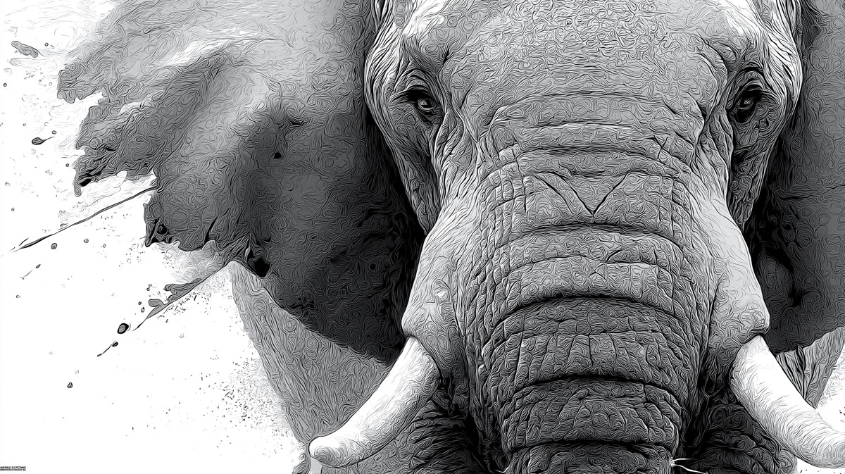 Elephant Portrait Mural Wallpaper — Bold Monochrome Wildlife Art Mural Wallpaper - room preview 02