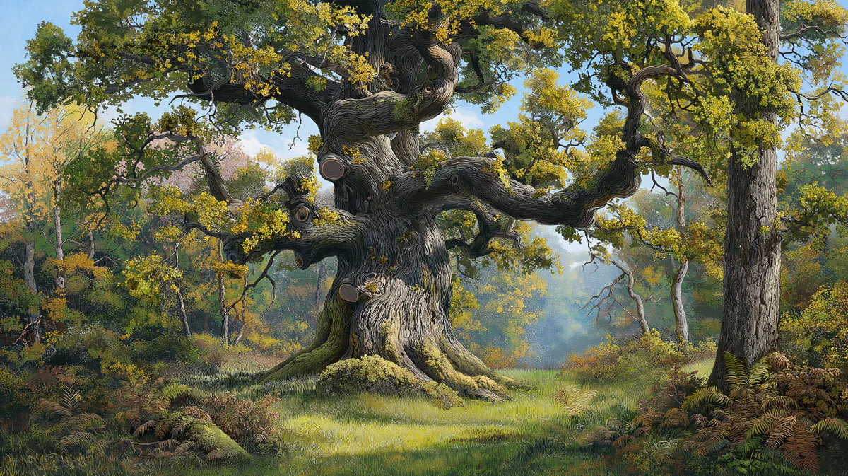Ancient Oak Tree Forest Mural Wallpaper —Botanical Landscape Mural Wallpaper - room preview 02