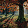 Autumn Forest Sunlight Mural Wallpaper — Rich Woodland Landscape Mural Wallpaper - room preview 02