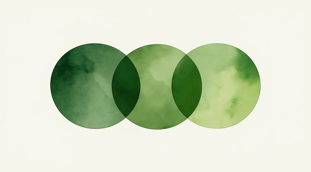 Interlocking Green Circles Mural Wallpaper — Modern Minimalist Art Mural Wallpaper - room preview 02