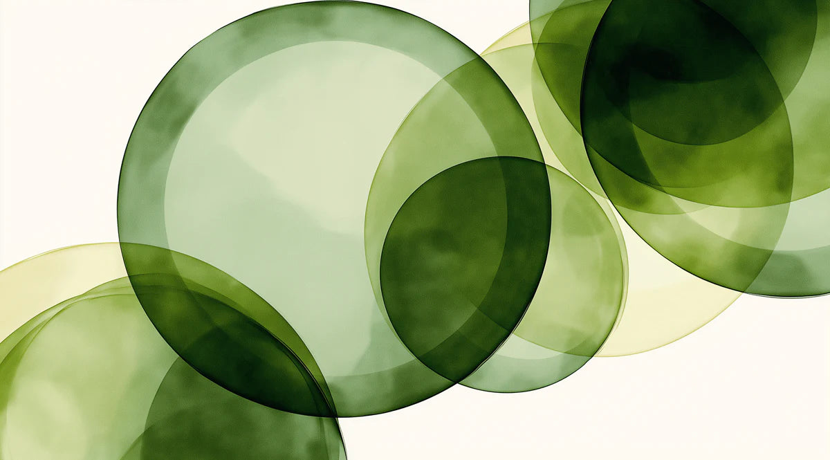 Abstract Overlapping Circles Mural Wallpaper in Green and Yellow Mural Wallpaper - room preview 02