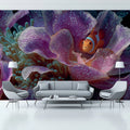 Clownfish and Purple Anemone Mural Wallpaper —Macro Underwater Art Mural Wallpaper - room preview 02