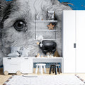 Dog Splash Portrait Mural Wallpaper — Dynamic Illustration Art Mural Wallpaper - room preview 02
