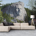 Carved Cliff Portrait Mural Wallpaper — Realistic Landscape Mural Mural Wallpaper - room preview 02