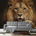 Majestic Lion Portrait Mural Wallpaper —Dark Realistic Wildlife Mural Wallpaper - room preview 02