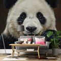 Giant Panda Close-Up Mural Wallpaper — Realistic Animal Portrait Mural Wallpaper - room preview 02