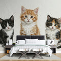 Three Little Kittens Mural Wallpaper — Whimsical Hand-Drawn Art Mural Wallpaper - room preview 02