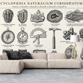 Naturalia Curiositatum Scientific Study Mural Wallpaper - room preview 02