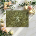 Lamb in Olive Grass Mural Wallpaper — Impasto Oil Painting Style Mural Wallpaper - room preview 02