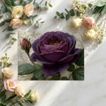 Midnight Rose Floral Mural Wallpaper — Romantic Baroque Style Mural Wallpaper - room preview 02