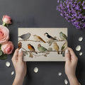 Vintage Songbird Botanical Mural Wallpaper — Naturalist Art Study Mural Wallpaper - room preview 02