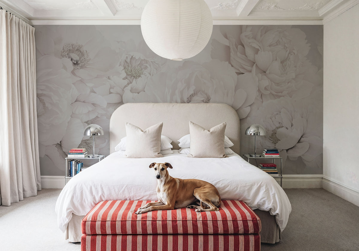 Transcendent Peony, Greyish Pink Mural Wallpaper - room preview 02