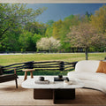 Davidson River Campground Mural Wallpaper - room preview 02