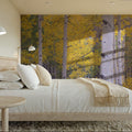 Golden Birch Forest Mural Wallpaper - room preview 02