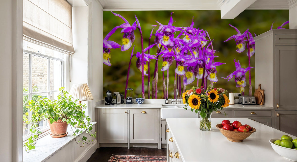 Calypso Bulbosa Bloom Mural Wallpaper - room preview 02