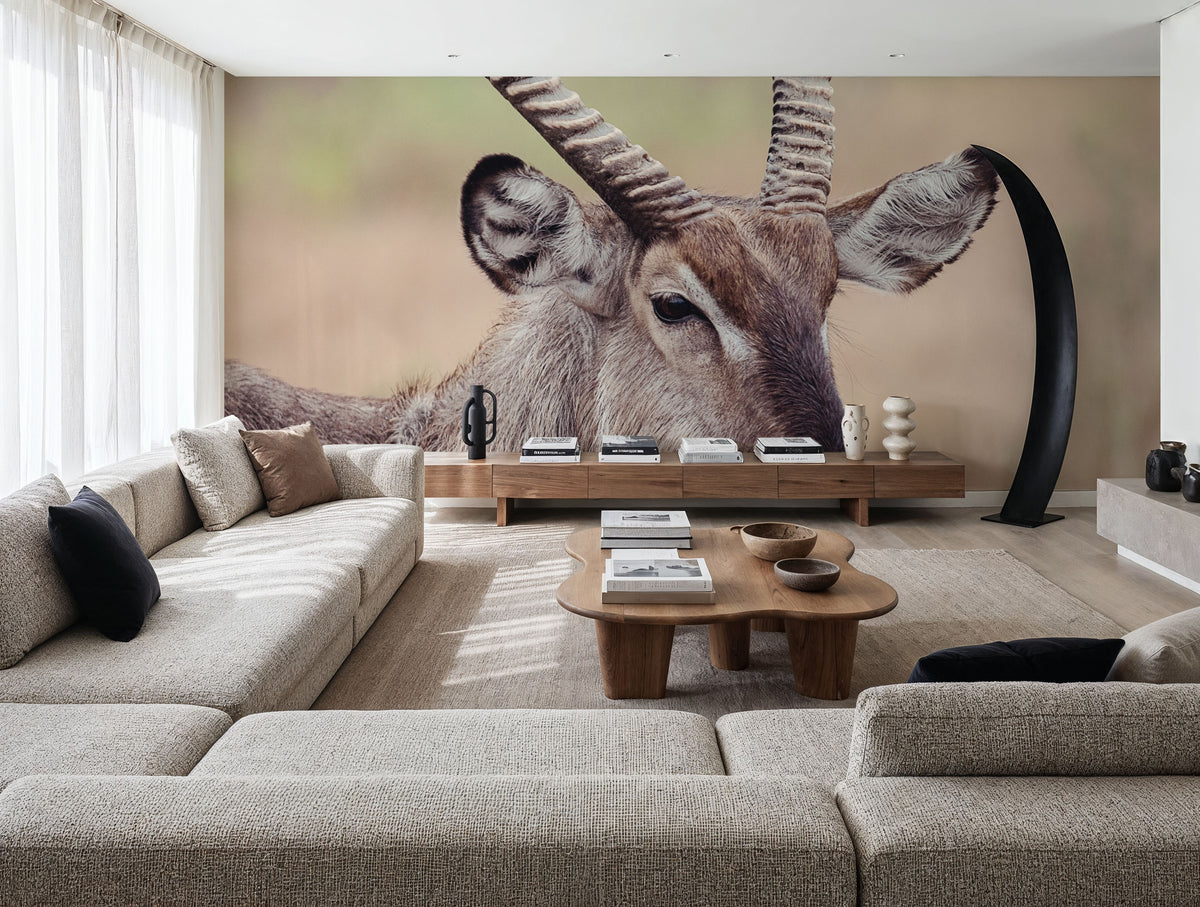 Waterbuck Portrait Mural Wallpaper - room preview 02
