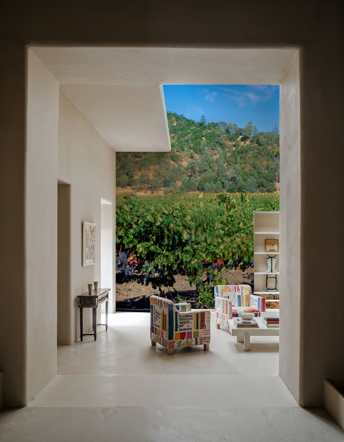 Vineyard Splendor Mural Wallpaper - room preview 02
