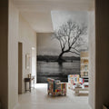 Wanaka Tree Mural Wallpaper - room preview 02