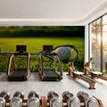 Lacrosse Mural Wallpaper - room preview 02