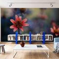 Peach Dahlias Mural Wallpaper - room preview 02
