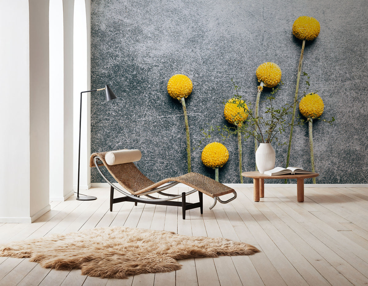 Craspedia Dry Flowers Mural Wallpaper - room preview 02