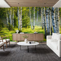 Young Birches Mural Wallpaper - room preview 02