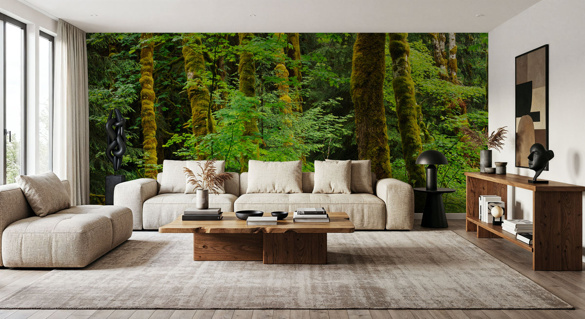 Evergreen Trees Mural Wallpaper - room preview 02