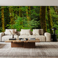 Evergreen Trees Mural Wallpaper - room preview 02