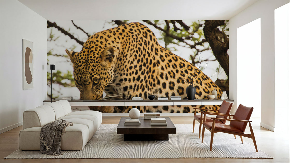 Leopard After Lunch Mural Wallpaper - room preview 02