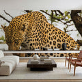 Leopard After Lunch Mural Wallpaper - room preview 02