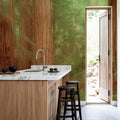 Majestic Redwoods Mural Wallpaper - room preview 02