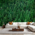 Olympic National Forest, Washington State Mural Wallpaper - room preview 02
